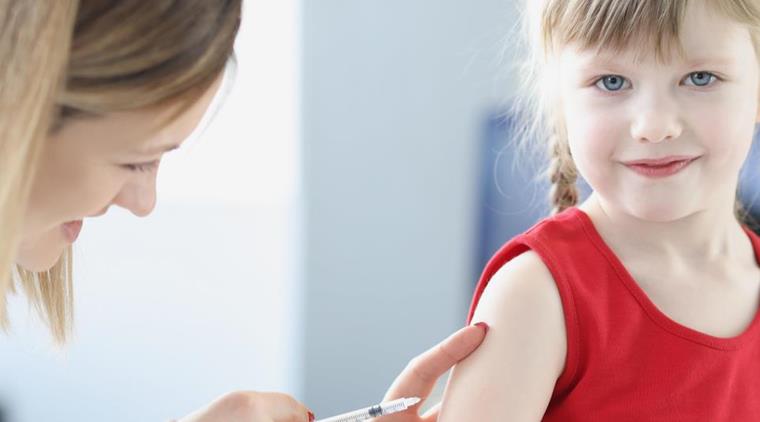 Roede Hunde Pige Vaccination