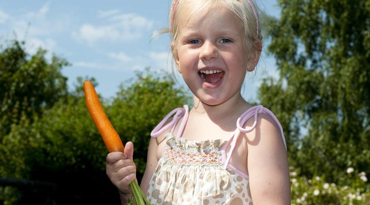 Faaresyge Pige Spiser Guleroedder