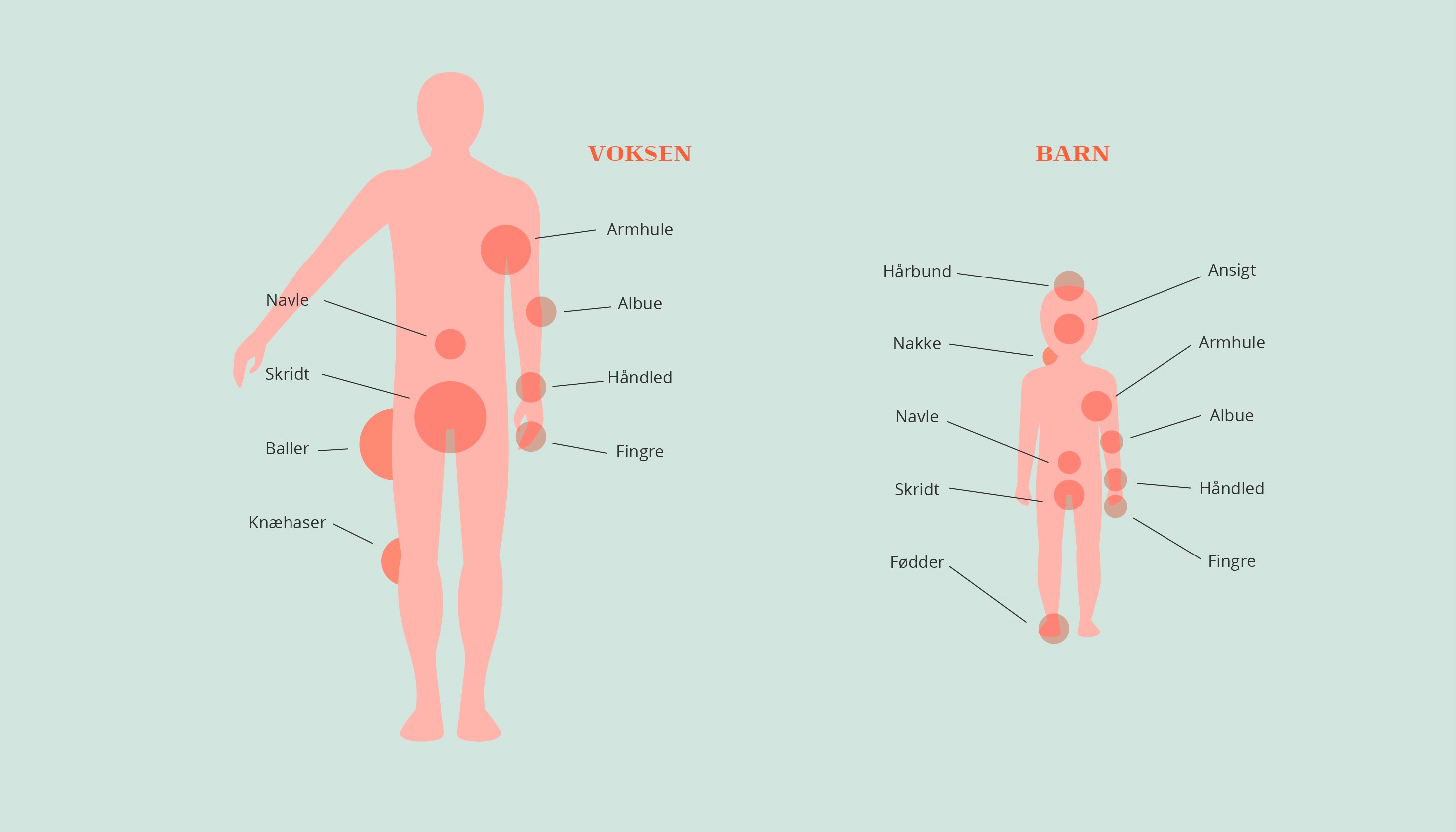 Fnat Illustration Stor