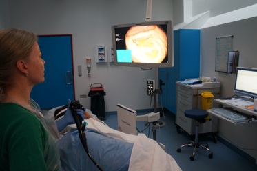 Endoskopi-undersøgelse