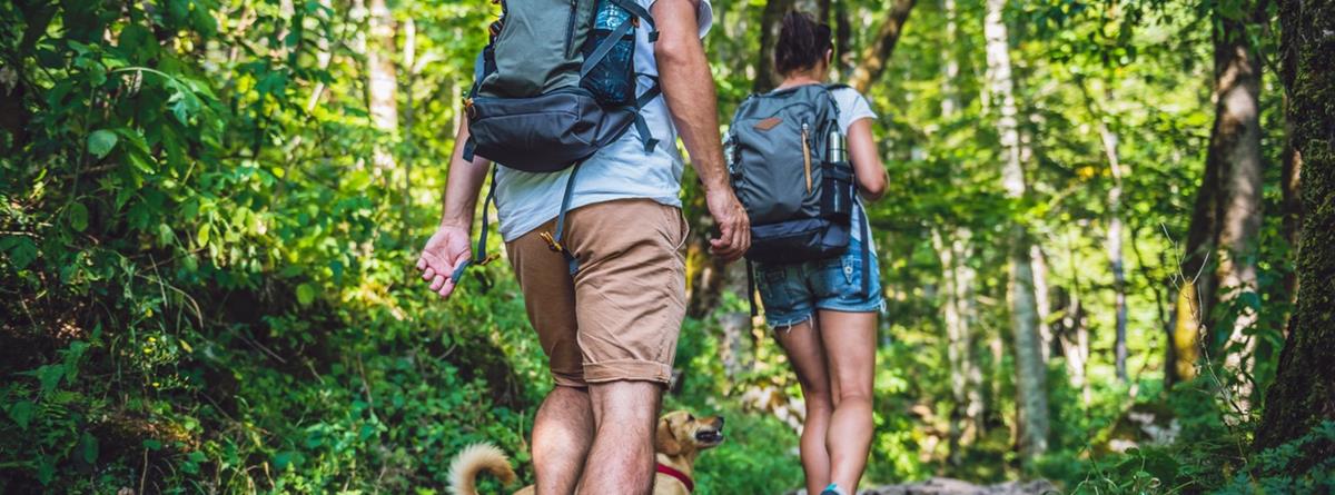 hiking-couple-colourbox.jpg