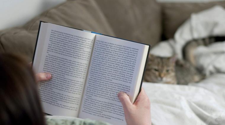 Overgangsalderen Kvinde Laeser Bog