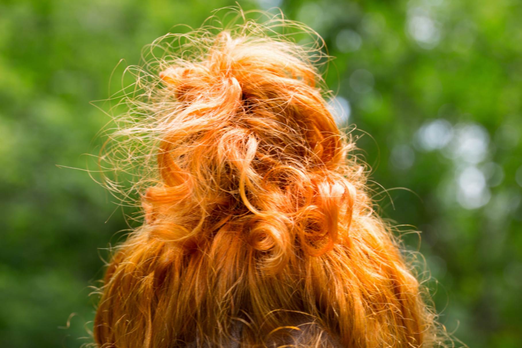 Haar Roedt Kvinde Skov