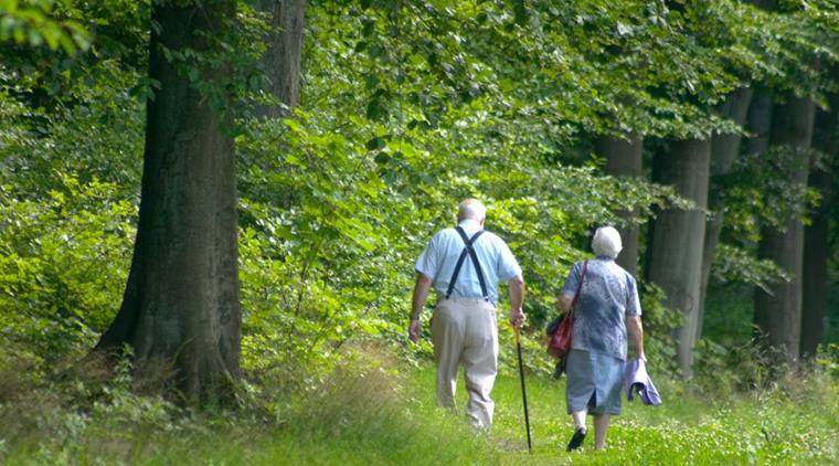 Blodprop I Hjernen Aeldre Par Skovtur Danmark