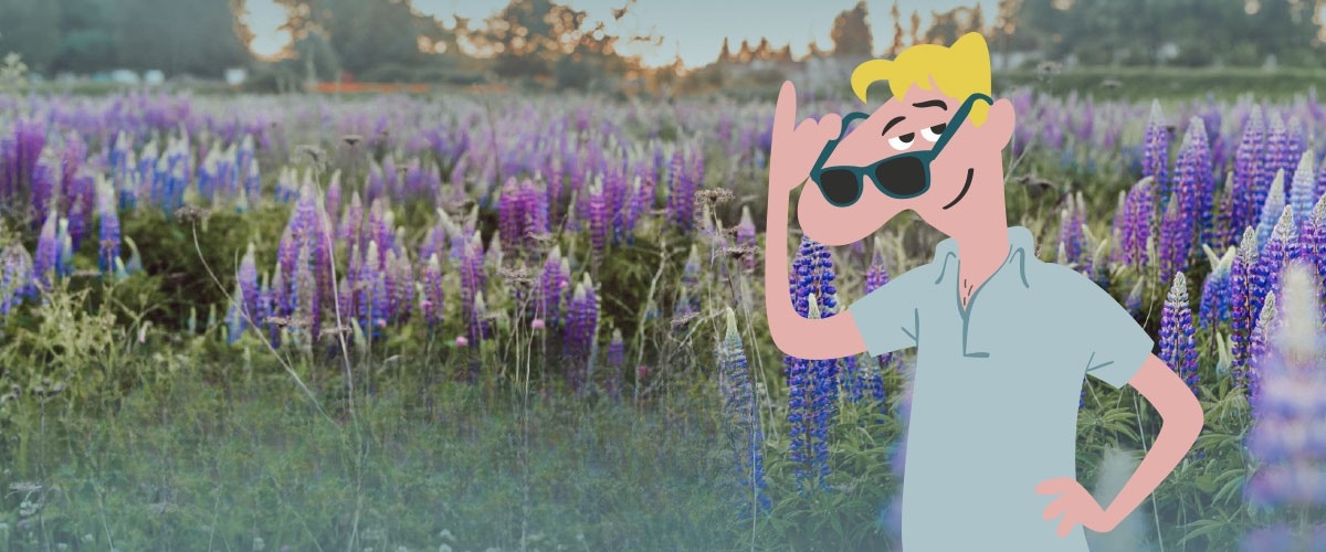 Karsten I Lupinmark II