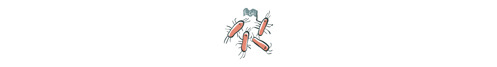 Illustration af E.Coli bakterier