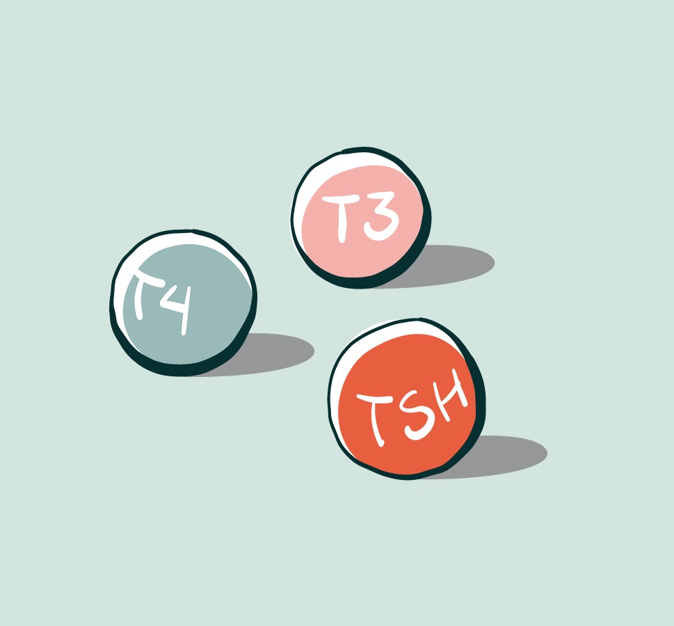 Illustration Med Stofskiftehormonoer Grøn Baggrund