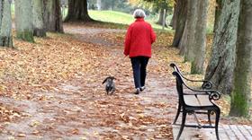 Skovtur Kvinde Hund Istock