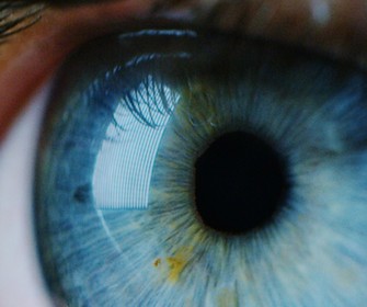 Oejenkampagne Cover Uden Tekst 1500X600