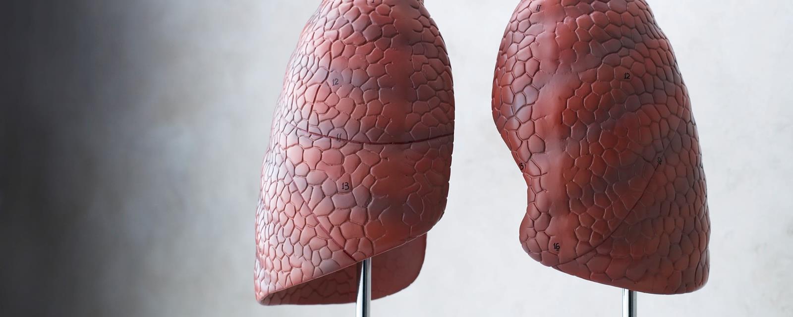 lunge-og-luftveje-hero.jpg