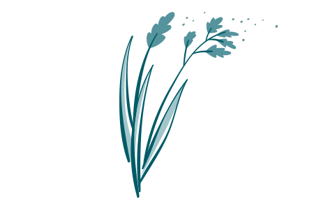 Illustration af græspollen